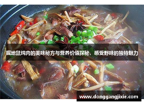 掘地鼠炖肉的美味秘方与营养价值探秘，感受野味的独特魅力